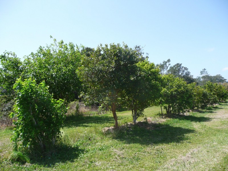 Lismore NSW 2480