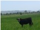 Lismore NSW 2480
