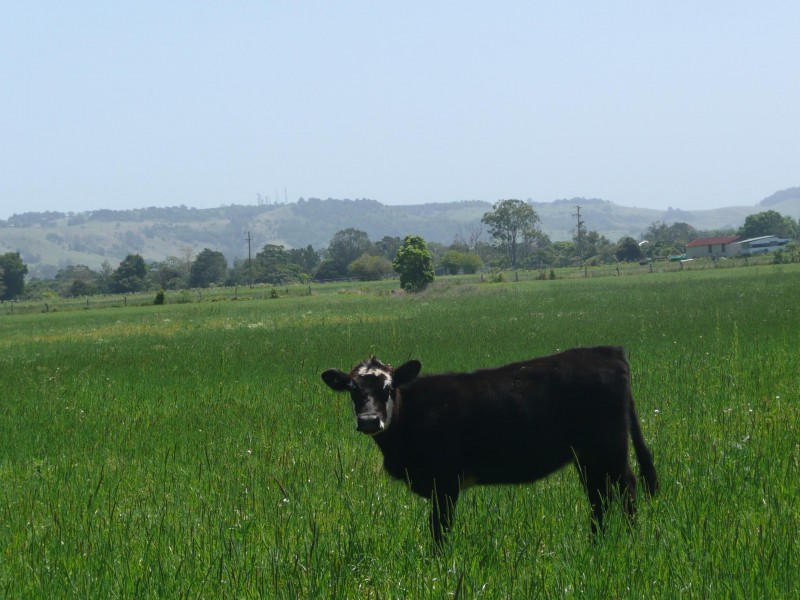 Lismore NSW 2480