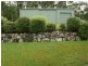 Kyogle NSW 2474