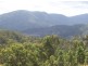 Kyogle NSW 2474