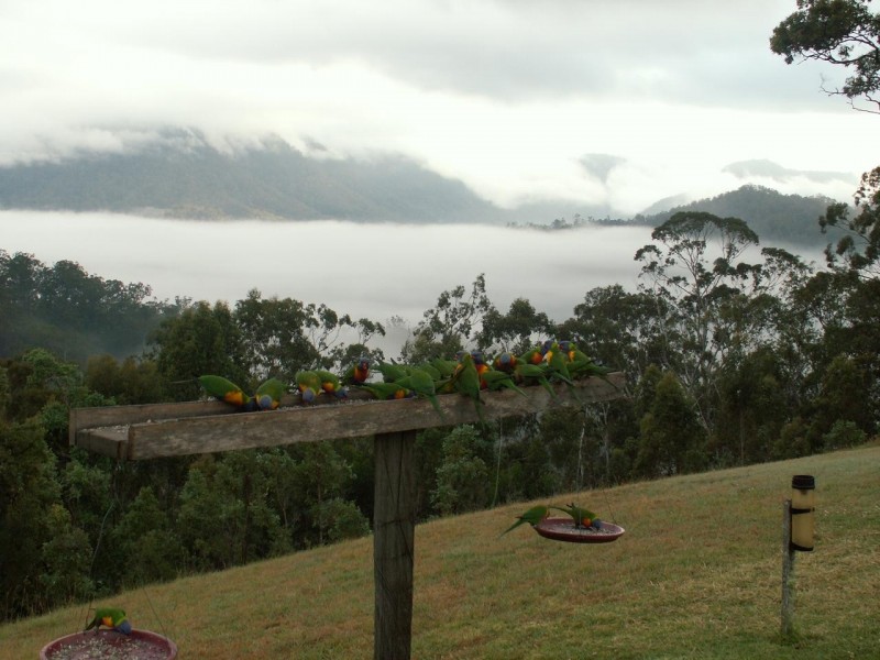 Kyogle NSW 2474