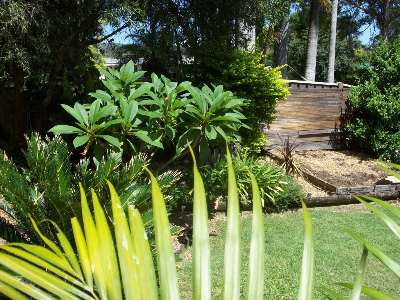 14 Merrigan Street, Kyogle NSW 2474