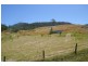 Kyogle NSW 2474