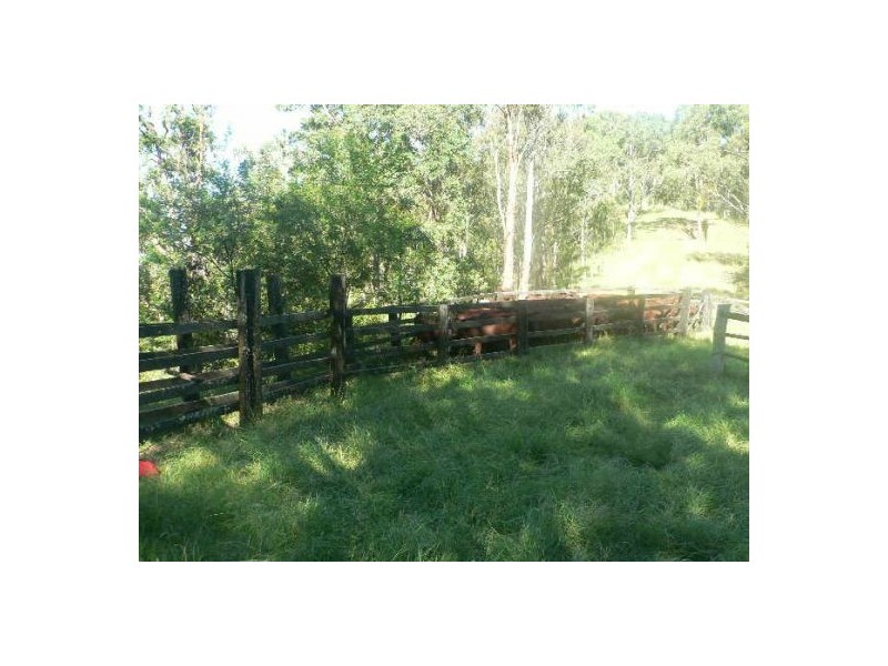 59 Wyndham Creek Road, Kyogle NSW 2474