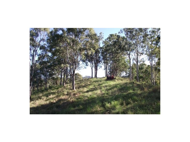 59 Wyndham Creek Road, Kyogle NSW 2474