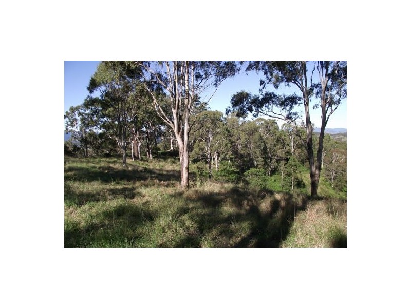 59 Wyndham Creek Road, Kyogle NSW 2474