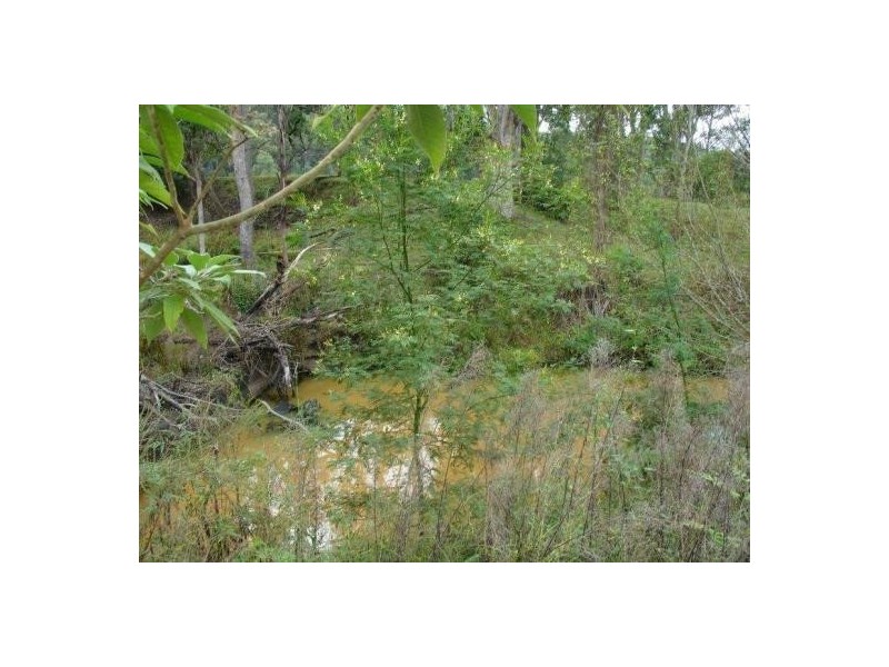 Mongogarie NSW 2470
