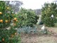 Bonalbo NSW 2469