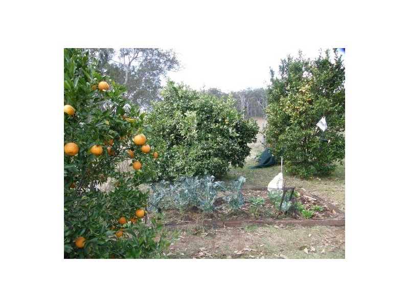 Bonalbo NSW 2469
