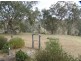 Bonalbo NSW 2469