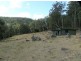 Bonalbo NSW 2469