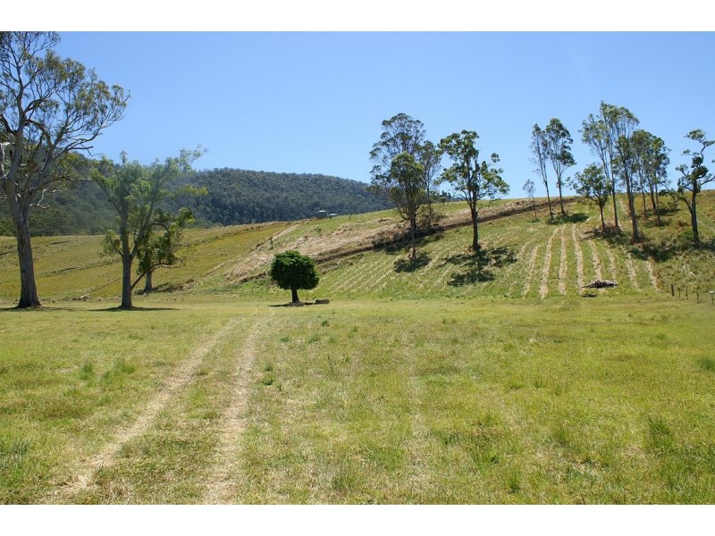 Kyogle NSW 2474