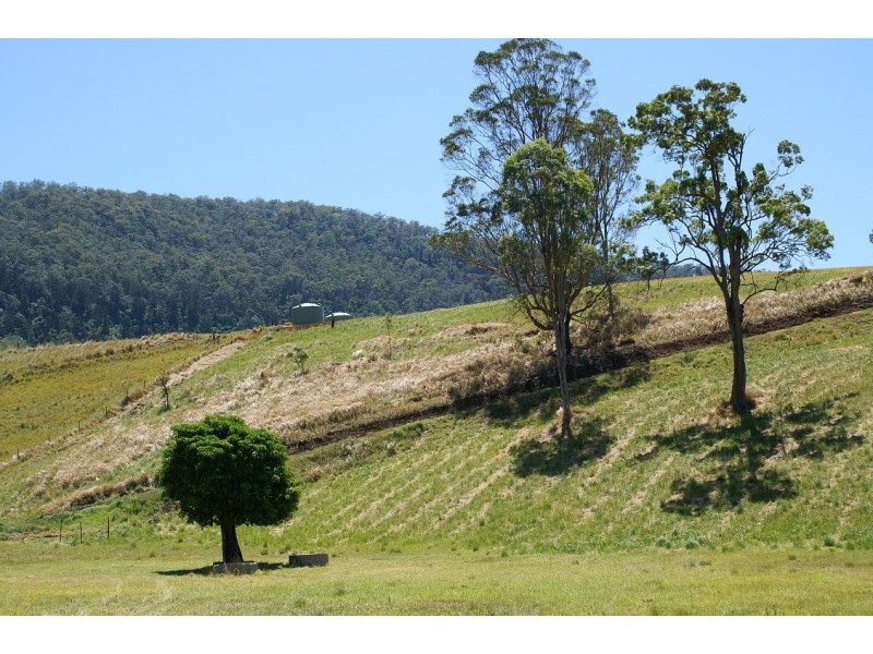 Kyogle NSW 2474