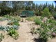 Nimbin NSW 2480