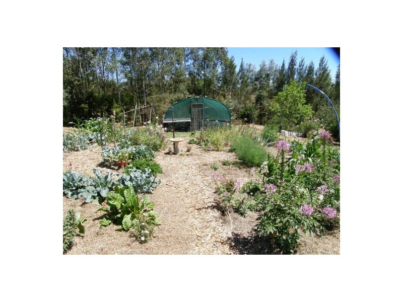 Nimbin NSW 2480