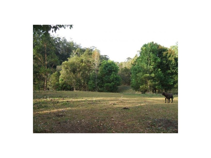 3640 Kyogle Road, Uki NSW 2484