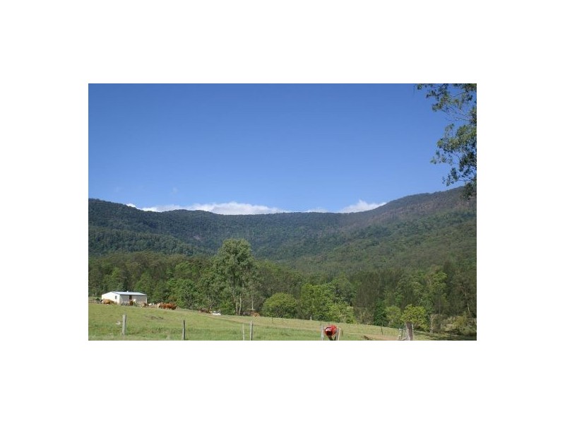 1077 Green Pigeon Road, Kyogle NSW 2474