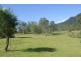 1077 Green Pigeon Road, Kyogle NSW 2474