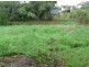 Kyogle NSW 2474
