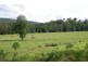 Kyogle NSW 2474