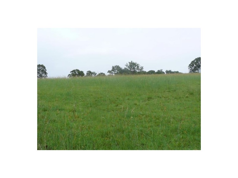 112 Homeleigh Road, Kyogle NSW 2474