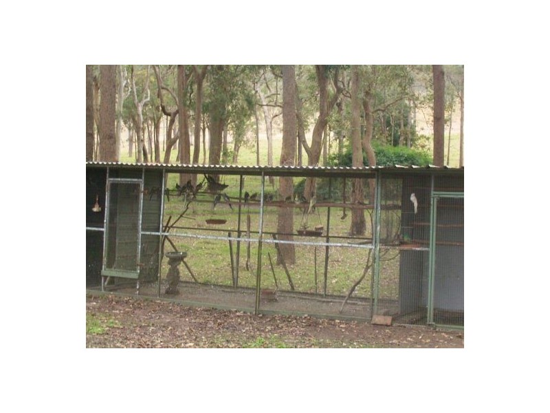 115 Runnymede Road, Kyogle NSW 2474