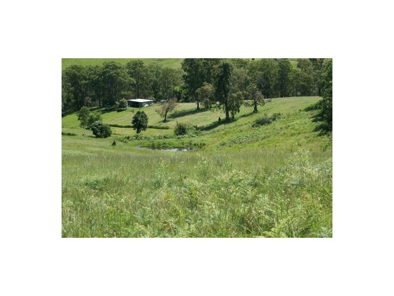 336 Smiths Creek Road, Kyogle NSW 2474