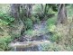 2 Basil Road, Nimbin NSW 2480