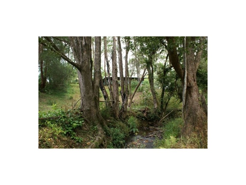 2 Basil Road, Nimbin NSW 2480