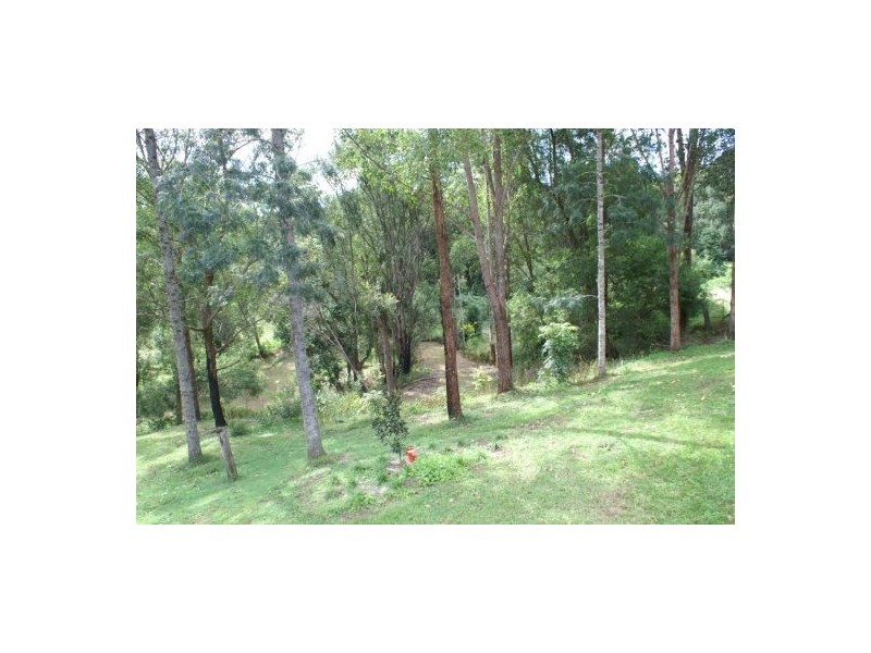 2 Basil Road, Nimbin NSW 2480