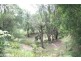 2 Basil Road, Nimbin NSW 2480