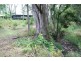 2 Basil Road, Nimbin NSW 2480