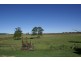 110 Baraimal Lane, Kyogle NSW 2474
