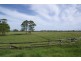 110 Baraimal Lane, Kyogle NSW 2474