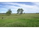 110 Baraimal Lane, Kyogle NSW 2474