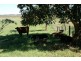 110 Baraimal Lane, Kyogle NSW 2474