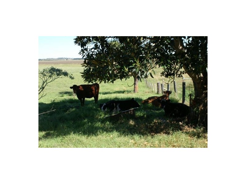 110 Baraimal Lane, Kyogle NSW 2474