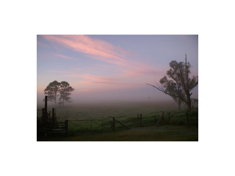 110 Baraimal Lane, Kyogle NSW 2474