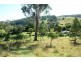 755 Upper Eden Creek Road, Kyogle NSW 2474