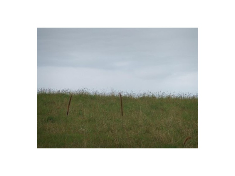 Lot 3 Baraimal Lane, Kyogle NSW 2474