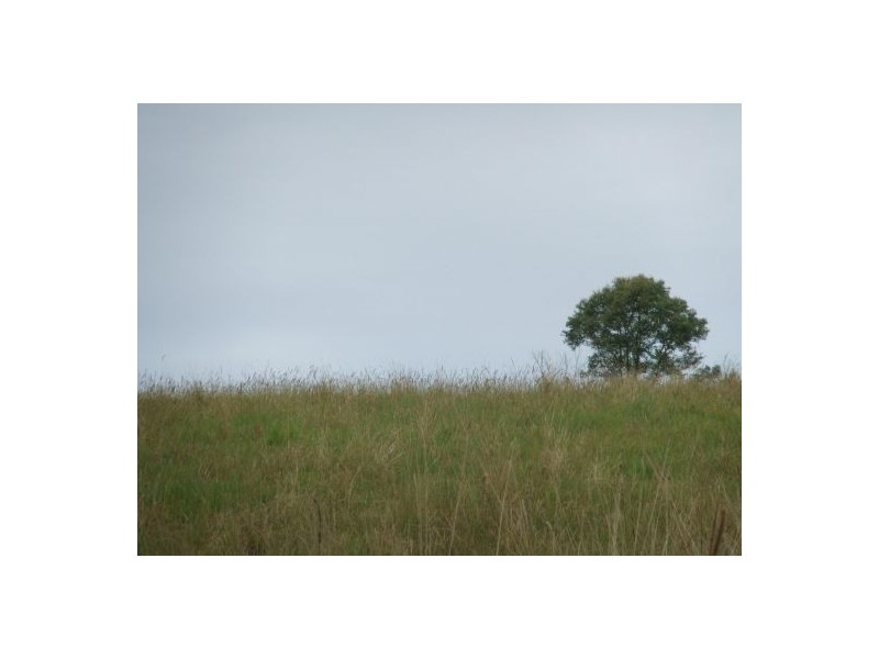 Lot 3 Baraimal Lane, Kyogle NSW 2474