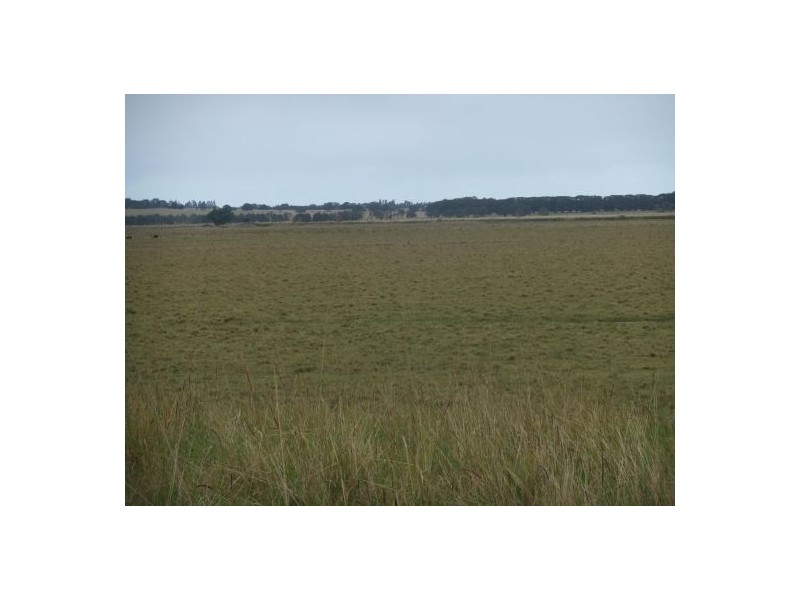 Lot 3 Baraimal Lane, Kyogle NSW 2474