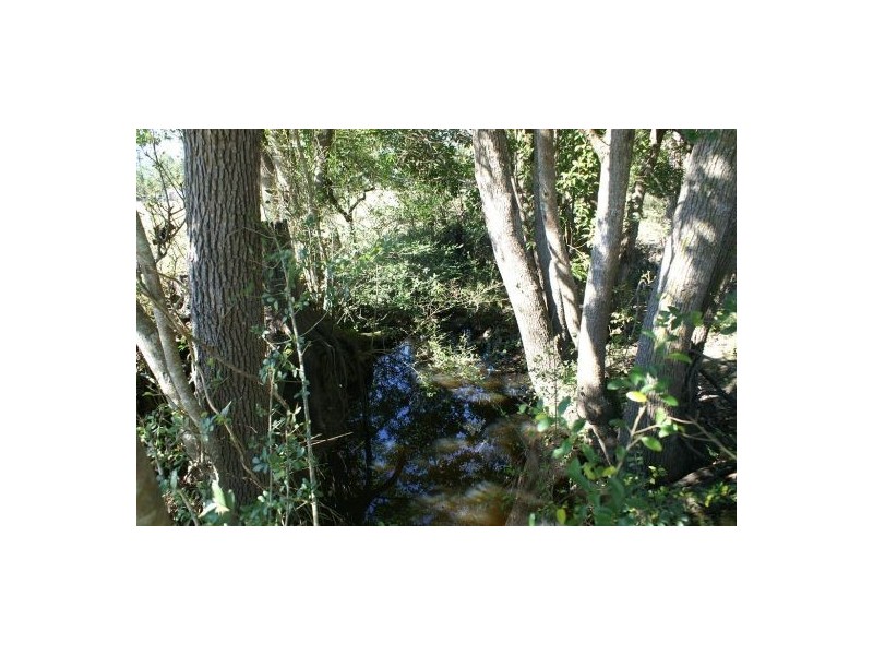 Lots 9-10 Welch Street, Urbenville NSW 2475