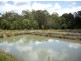 Lot 393 Iron Pot Creek Road, Kyogle NSW 2474