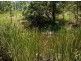 Lot 393 Iron Pot Creek Road, Kyogle NSW 2474