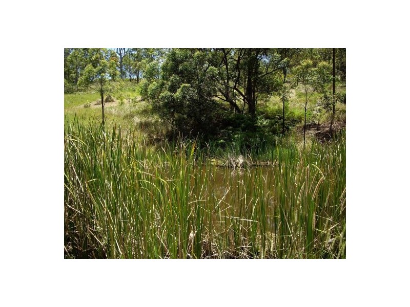 Lot 393 Iron Pot Creek Road, Kyogle NSW 2474