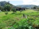 Kyogle NSW 2474