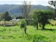 Kyogle NSW 2474