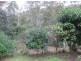 Kyogle NSW 2474